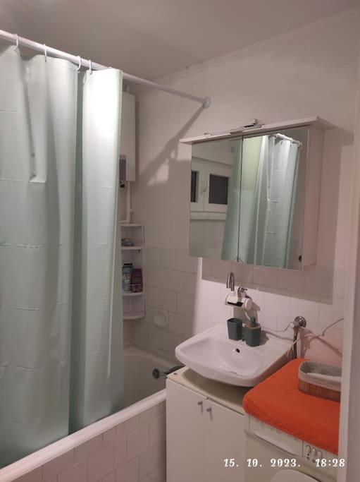Nina Apartment Zagreb Bagian luar foto
